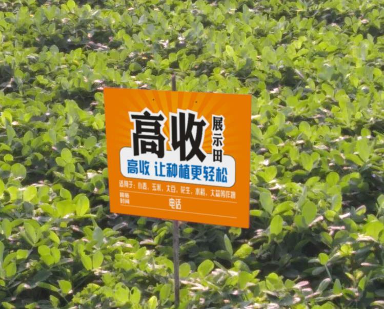 加拿大28预测- 阿尔特塔轮换策略收奇效  
